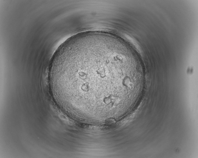 X0000093530875200710261249