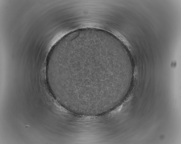 X0000093530877200710261249