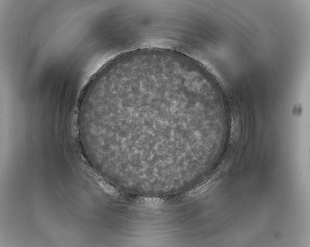 X0000093530878200710261249