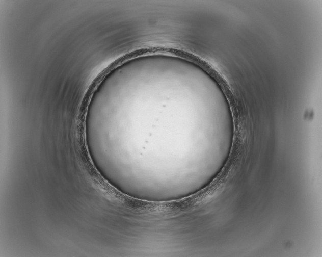 X0000093530879200710261249