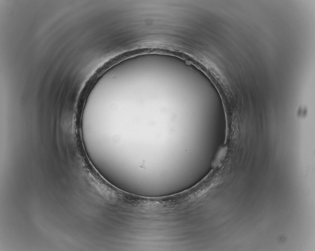 X0000093530880200710261249