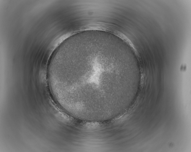 X0000093530882200710261249