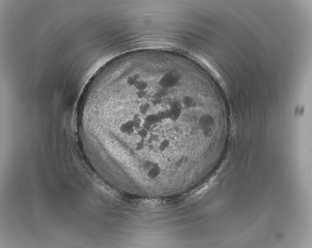 X0000093530883200710261249