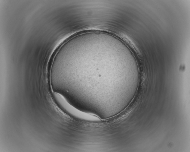 X0000093530884200710261249