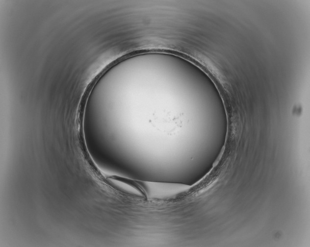 X0000093530885200710261249