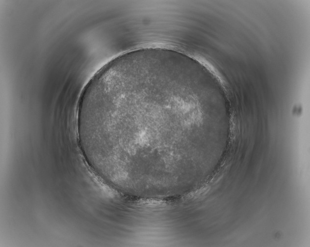 X0000093530886200710261249