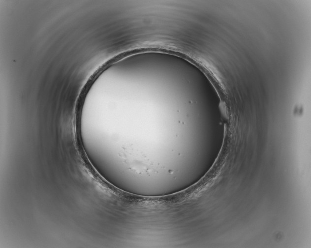 X0000093530888200710261249