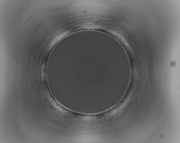 X0000093530889200710261249