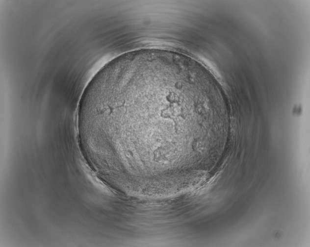 X0000093530891200710261249