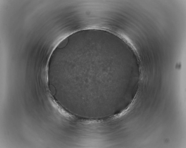 X0000093530892200710261249