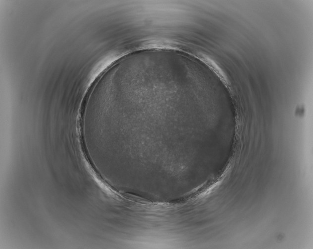 X0000093530893200710261249