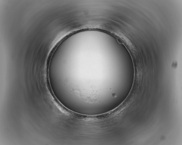 X0000093530894200710261249