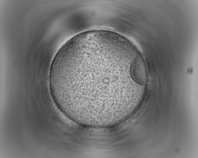 X0000093530895200710261249