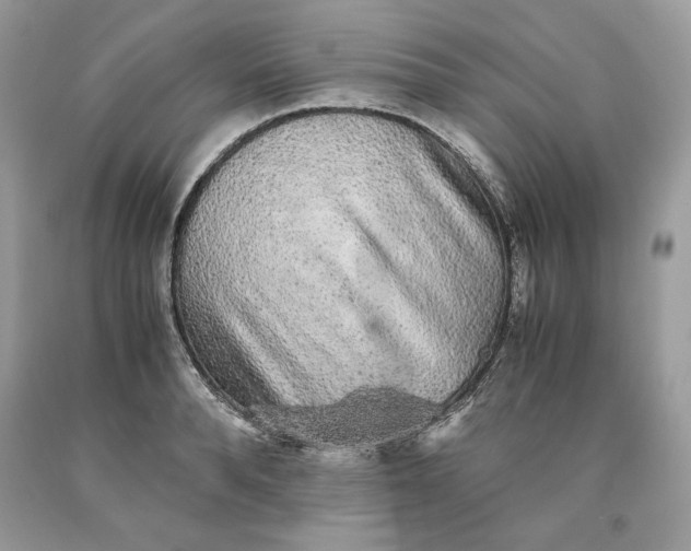 X0000093530896200710261249