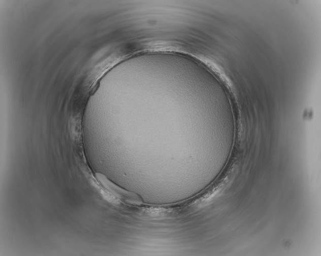 X0000093530897200710261249