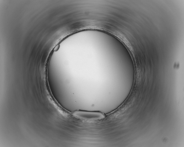 X0000093530898200710261249