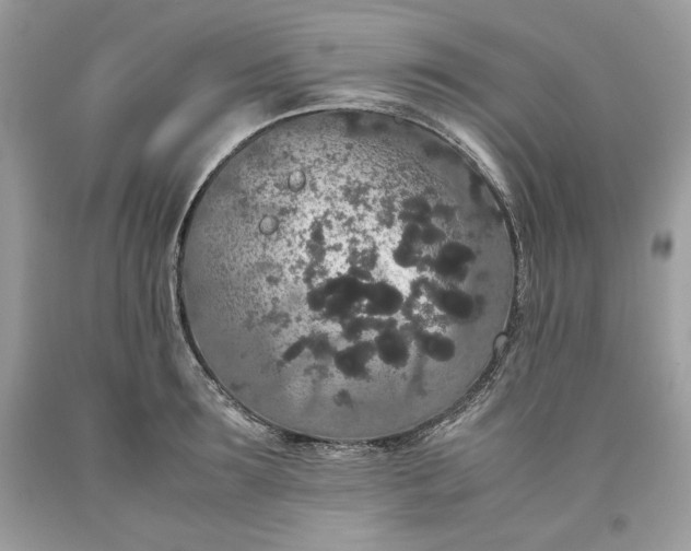 X0000093530899200710261249