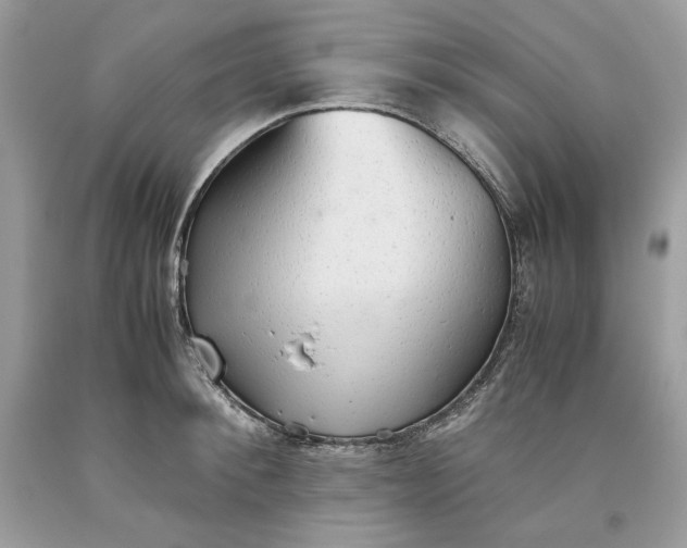 X0000093530900200710261249