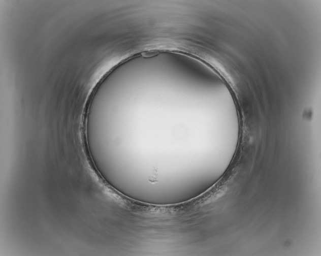 X0000093530901200710261249