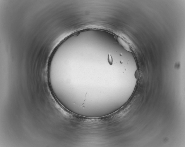 X0000093530902200710261249