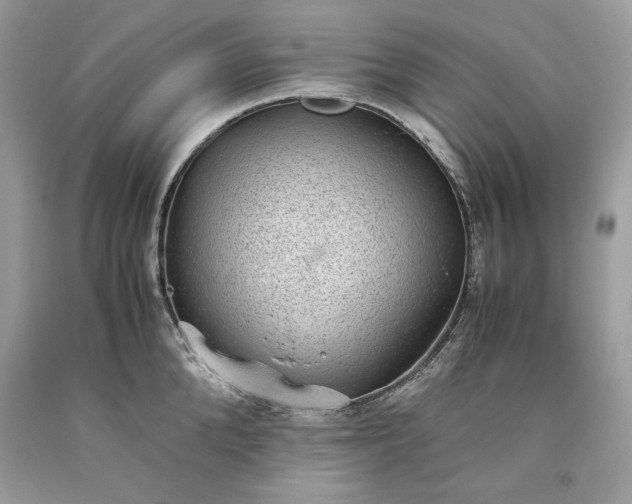 X0000093530904200710261249