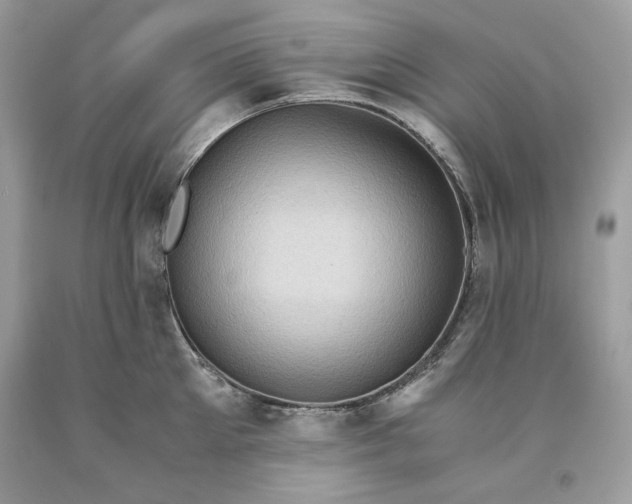 X0000093530905200710261249