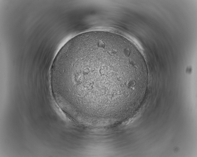 X0000093530907200710261249