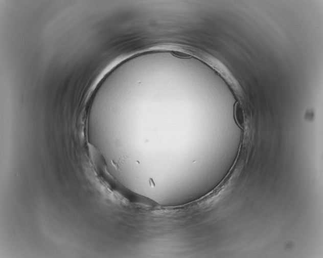 X0000093530908200710261249