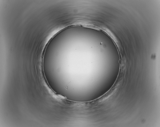 X0000093530909200710261249