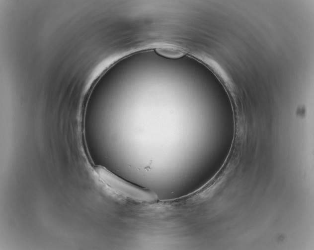 X0000093530910200710261249