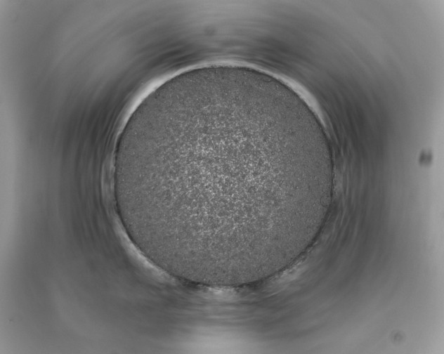 X0000093530911200710261249