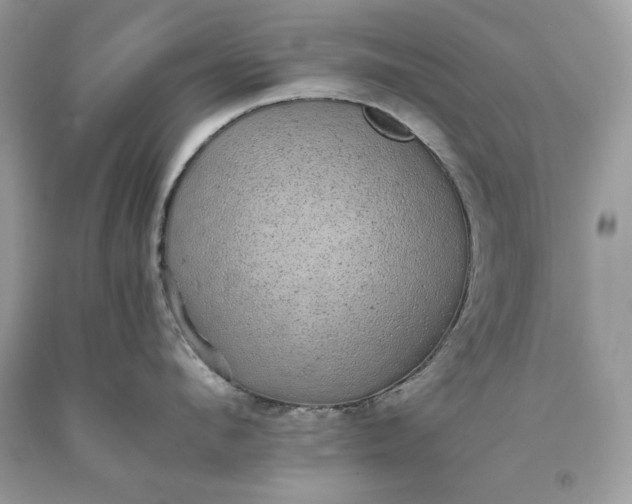 X0000093530912200710261248