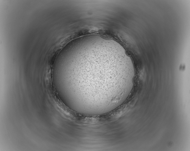 X0000093530914200710261248