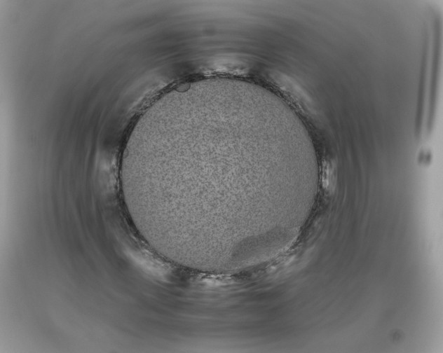 X0000093530915200710261248