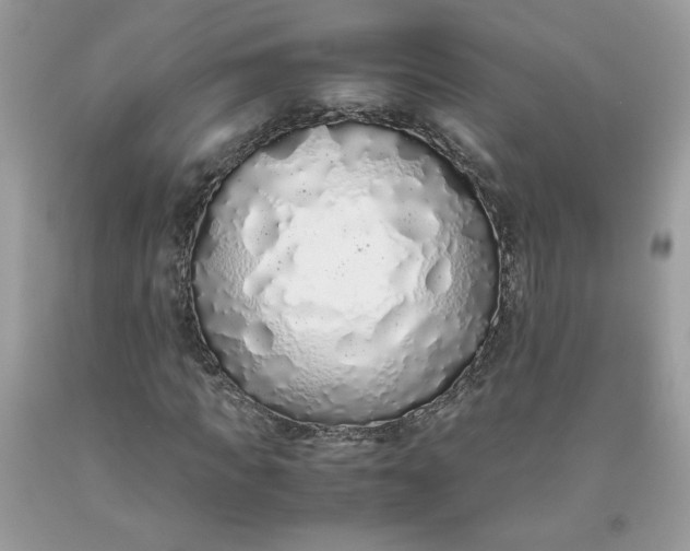 X0000093530917200710261248