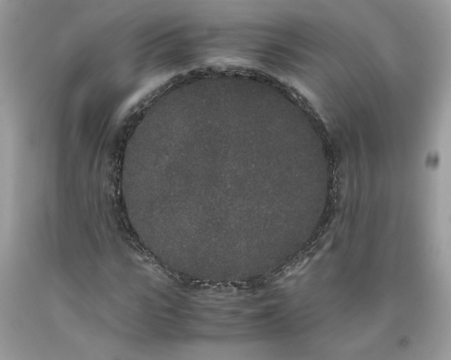 X0000093530919200710261248