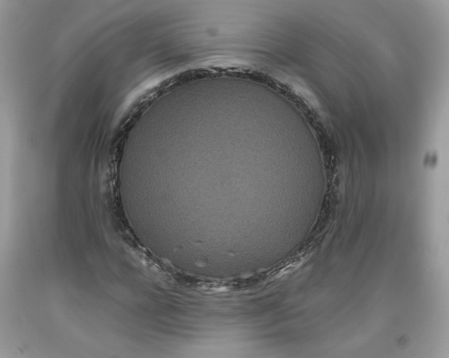 X0000093530920200710261248