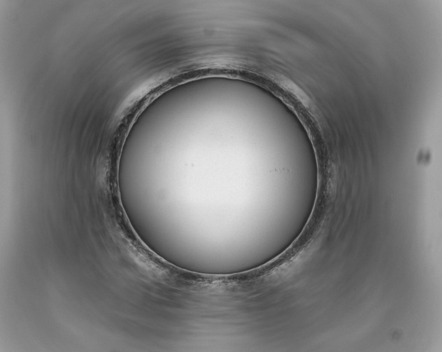 X0000093530922200710261248