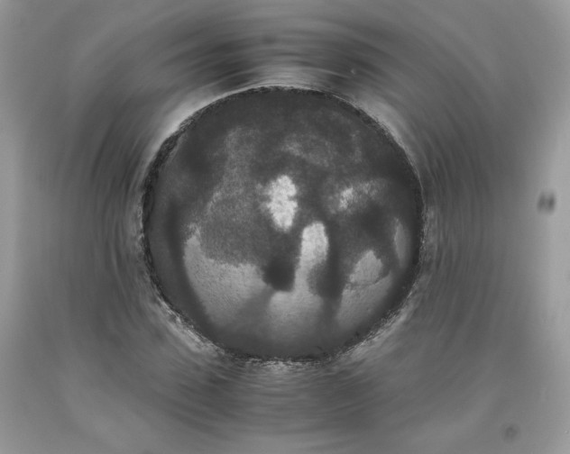 X0000093530923200710261248