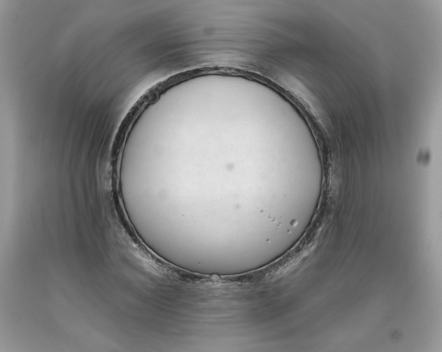 X0000093530924200710261248