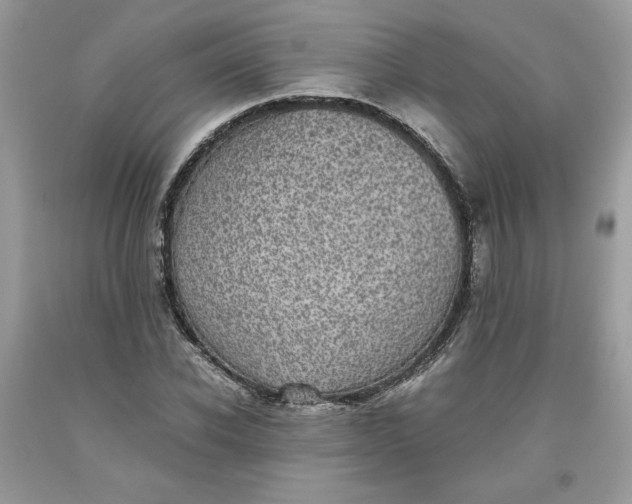 X0000093530926200710261248