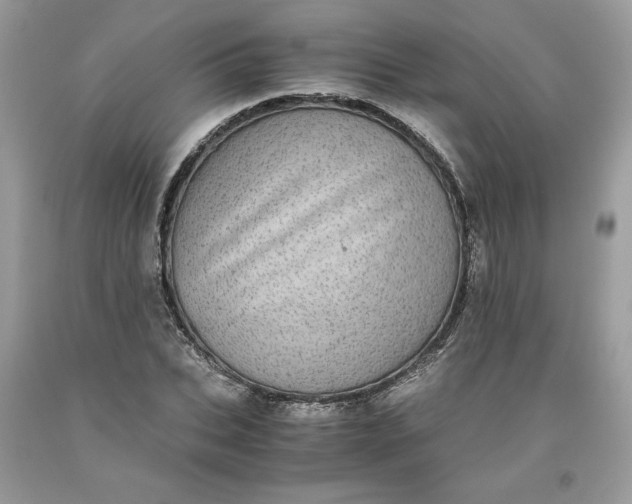 X0000093530927200710261248