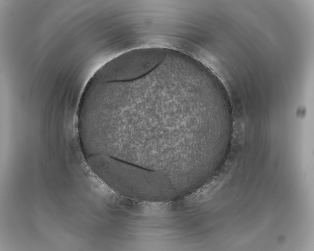 X0000093530928200710261248