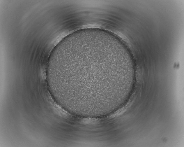 X0000093530929200710261248