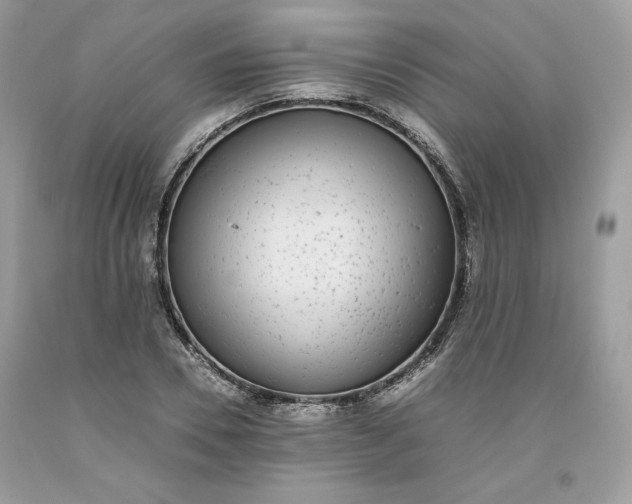 X0000093530930200710261248