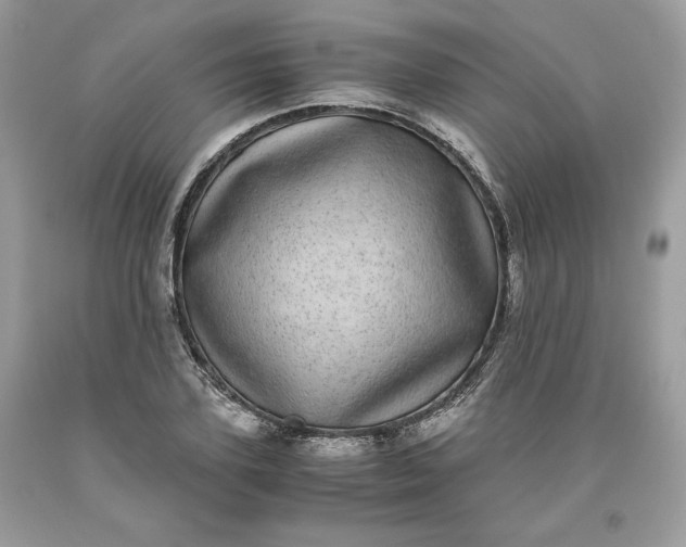 X0000093530931200710261248