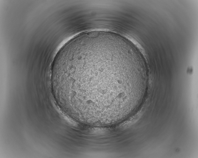 X0000093530933200710261248