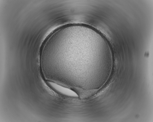 X0000093530934200710261248