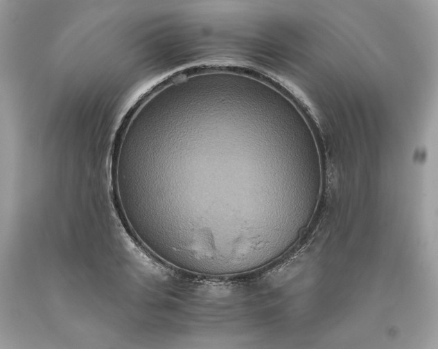 X0000093530935200710261248