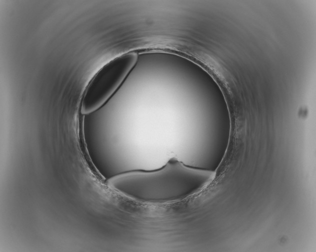 X0000093530936200710261248